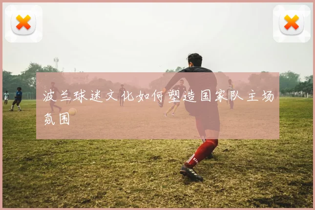 波兰球迷文化如何塑造国家队主场氛围
