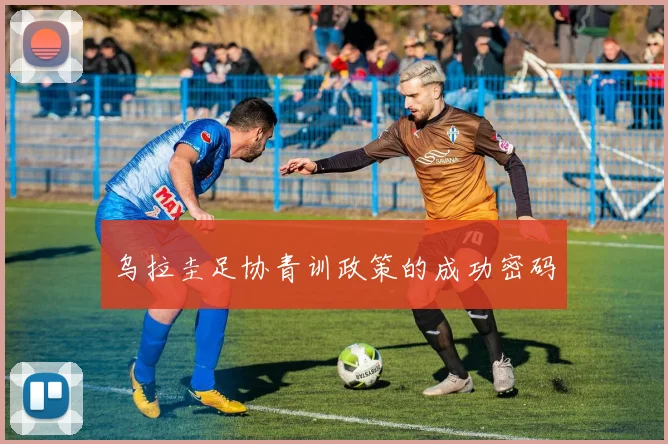 乌拉圭足协青训政策的成功密码
