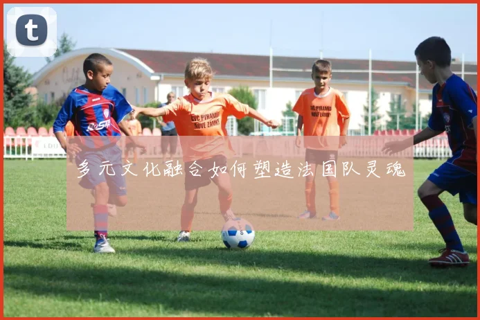 多元文化融合如何塑造法国队灵魂