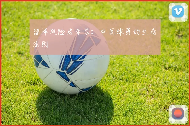 留洋风险启示录：中国球员的生存法则