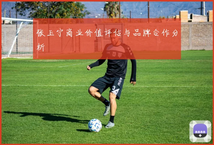 张玉宁商业价值评估与品牌合作分析