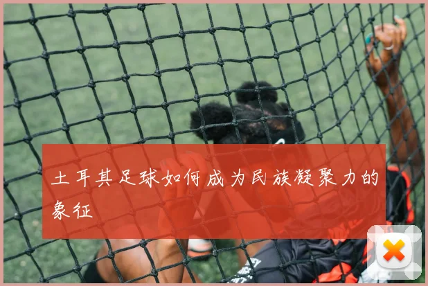 土耳其足球如何成为民族凝聚力的象征